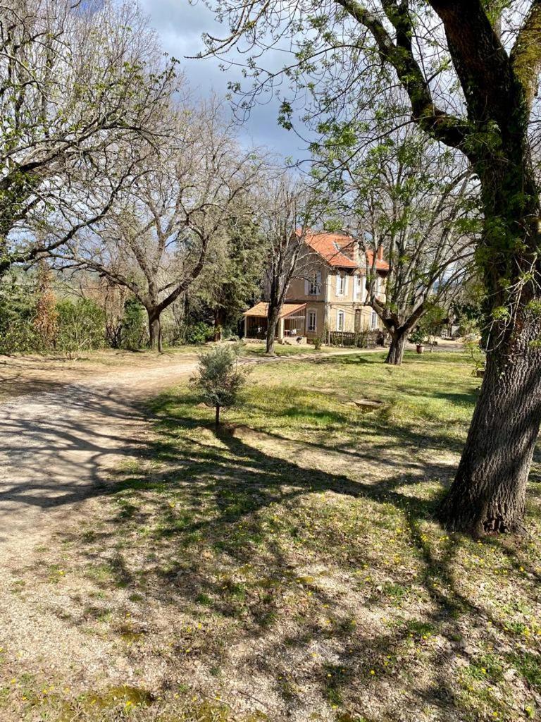 B&B Maison Felisa 撒波兰 外观 照片